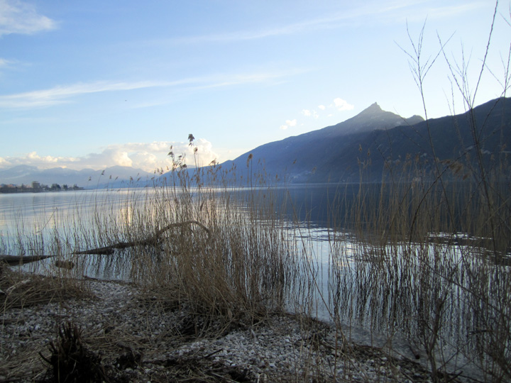 Roseaux, lac et montagne