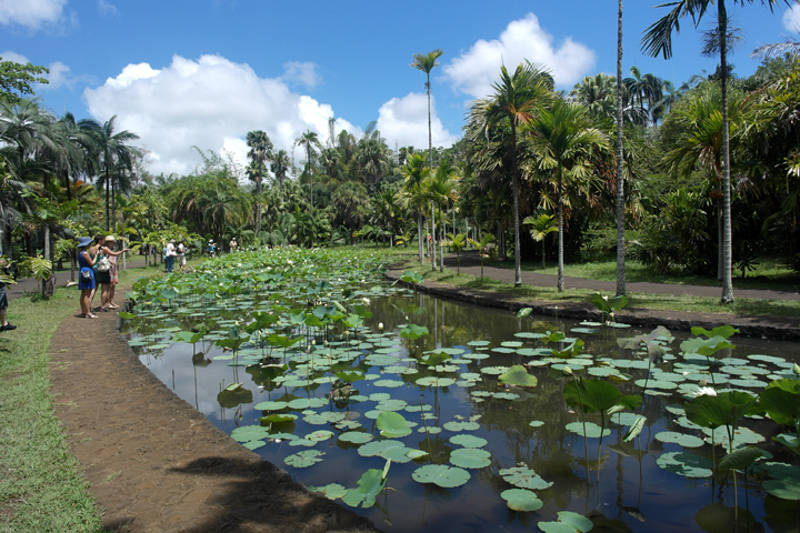 Jardin botanique de Pamplemousses, Île Maurice