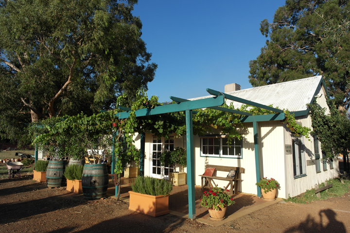 Harris Organic Wines, Swan Valley