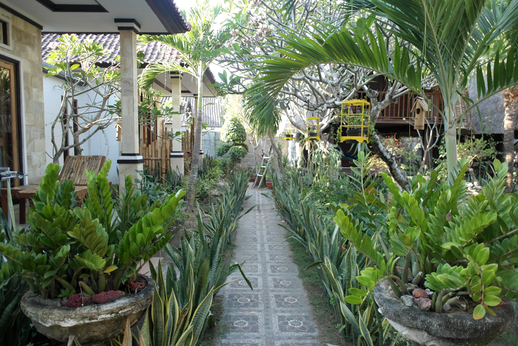 Bali-Rama-garden-Nusa-Lembongan-0093
