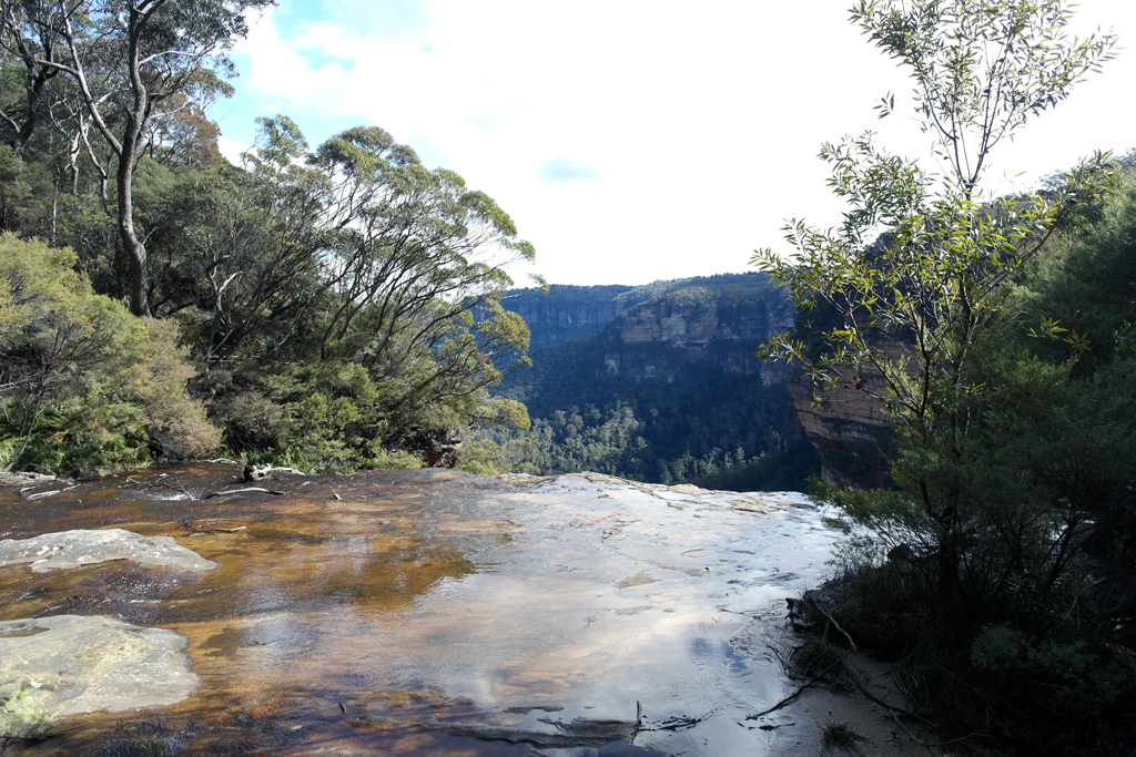 NSW-Charles-Darwin-Walk-Blue-Mountains-8762
