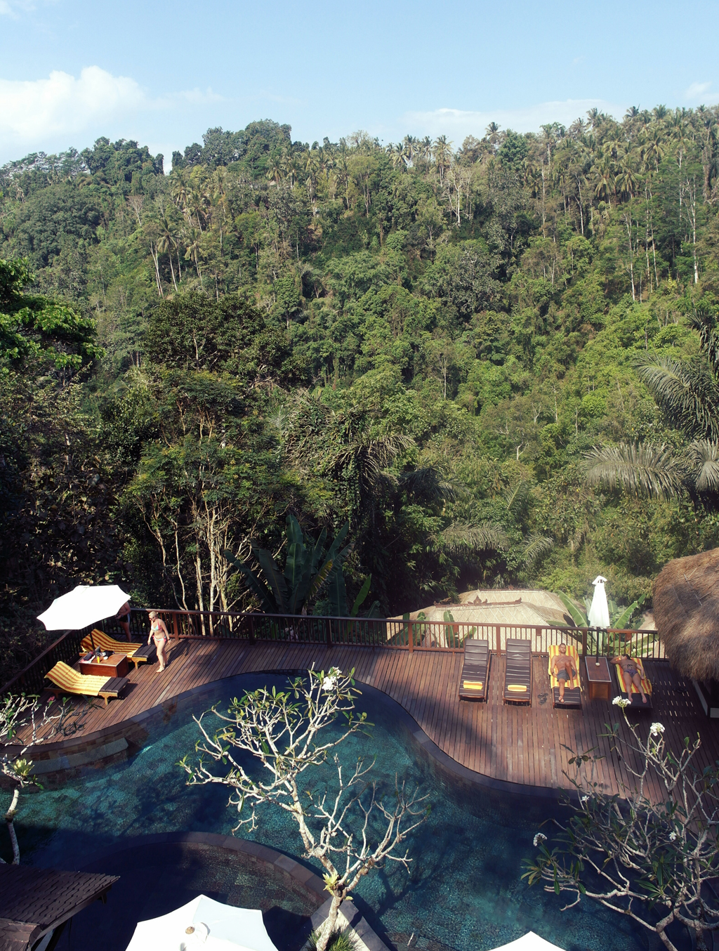 Bali-jungle-mobile02